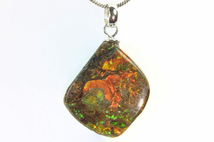 Brilliant Ammolite Pendant (Necklace) - Alberta, Canada #296050